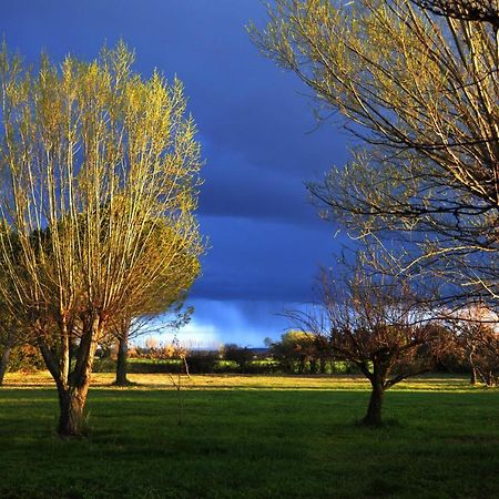 Chambres D Hotes De Charme Dans Mas La Souvine Du 17Eme, Chambres Climatisees Bedarrides ภายนอก รูปภาพ