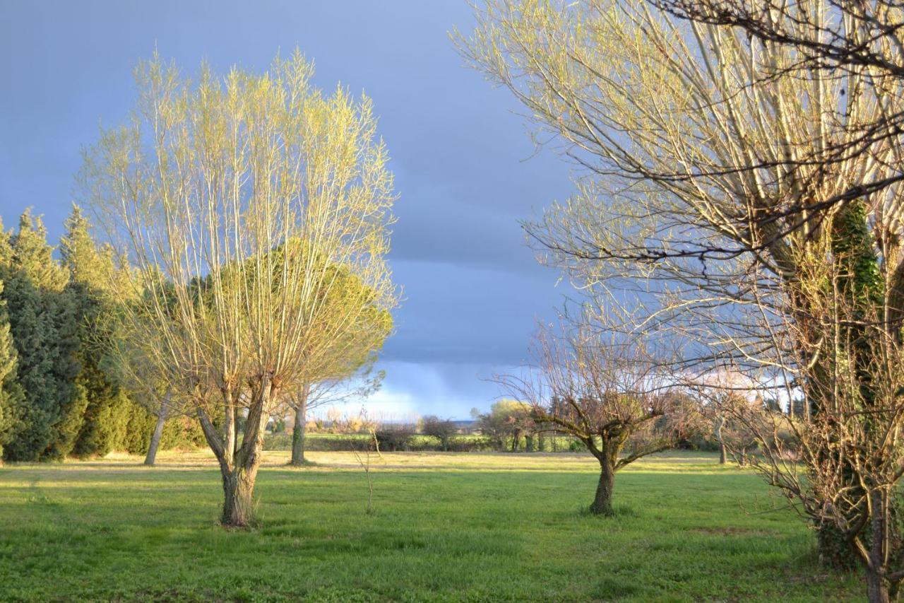 Chambres D Hotes De Charme Dans Mas La Souvine Du 17Eme, Chambres Climatisees Bedarrides ภายนอก รูปภาพ